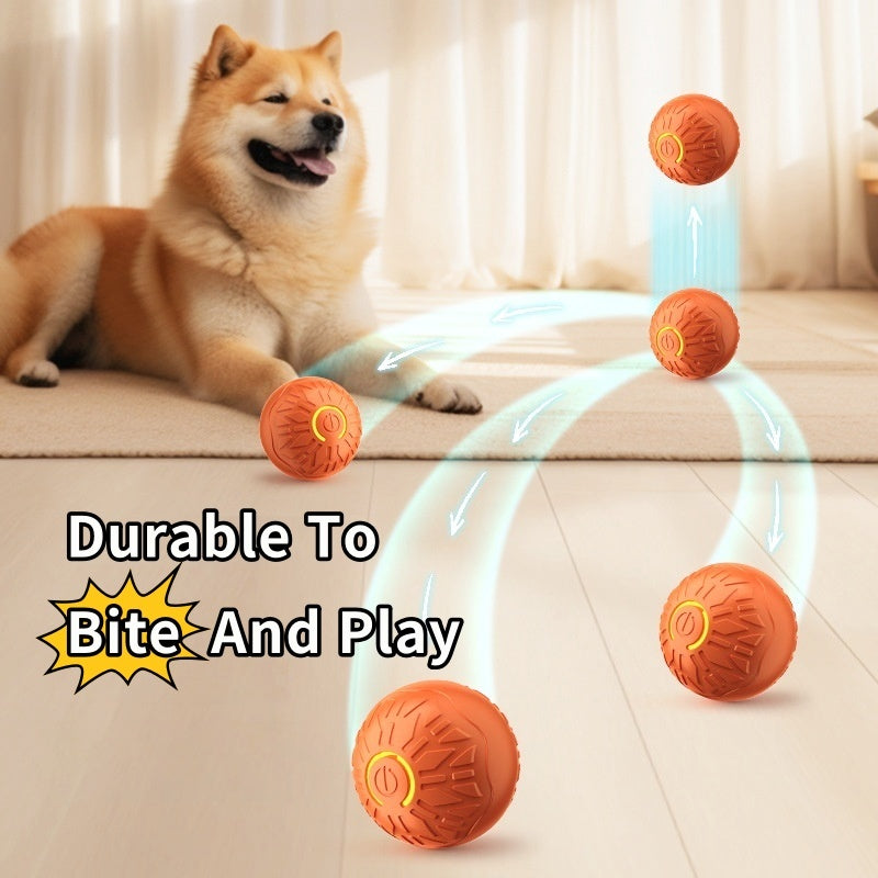 Electric Jumping Ball – Interactive Dog Toy