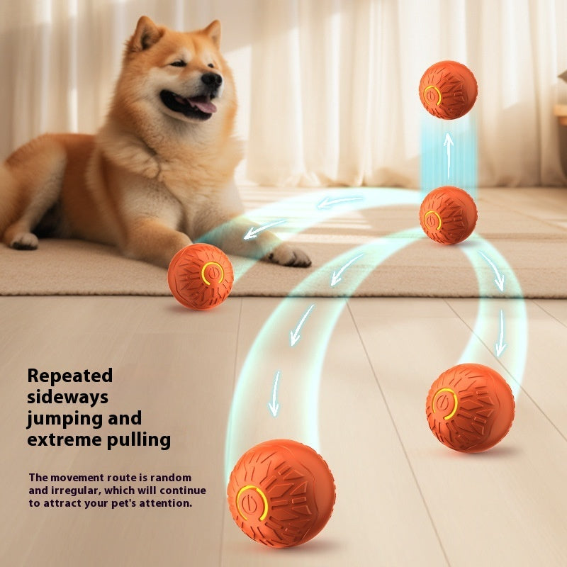 Electric Jumping Ball – Interactive Dog Toy